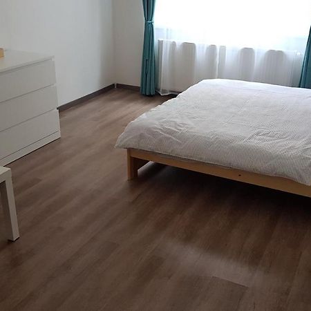 Apartman Pod Zamkem Decin Exteriör bild